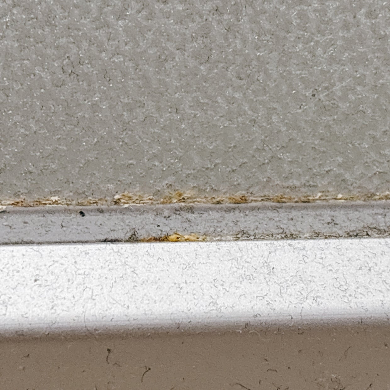  「お風呂場ドア」の“白いカリカリ汚れ”をスルッと落とす掃除術「キレイになって気持ちいい」 