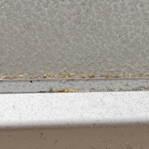 「お風呂場ドア」の“白いカリカリ汚れ”をスルッと落とす掃除術「キレイになって気持ちいい」