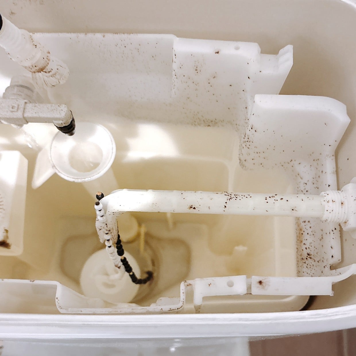  「トイレタンクの中」の汚れがピカピカになる方法「イヤな臭いも消えた」＜LIXILトイレ簡単掃除術＞ 