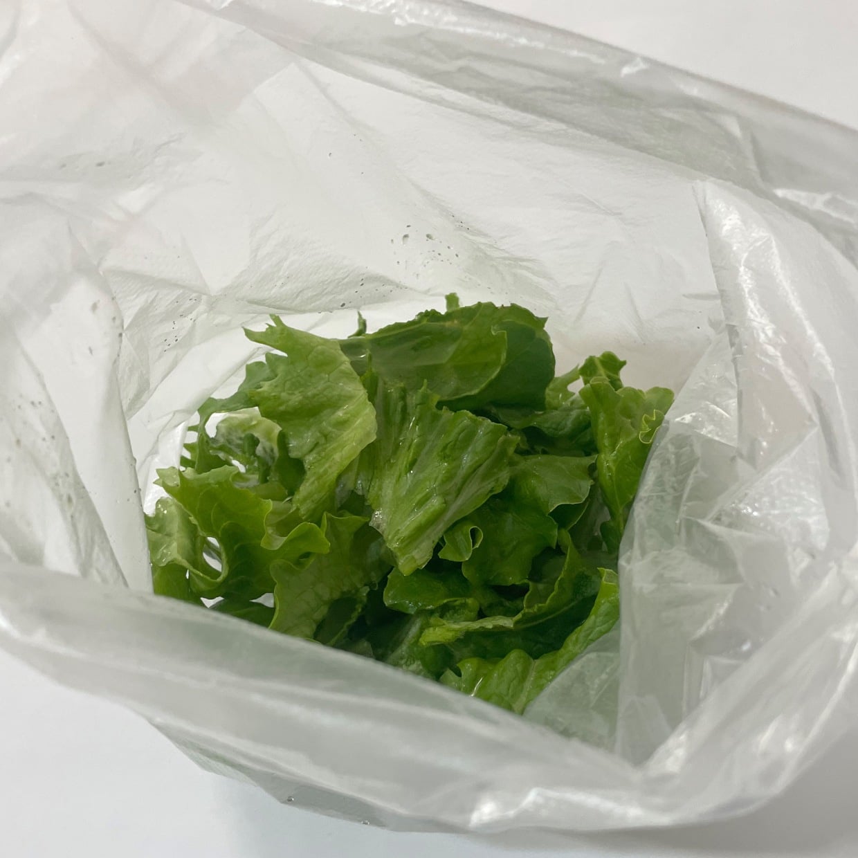  野菜の水切りが一気にラクになるワザ「サラダスピナーやザルも不要」「振るだけ」 