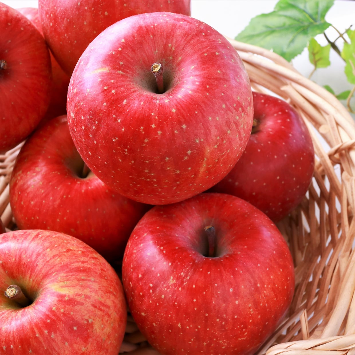  そのまま食べるより好きかも！食べ切れない「りんご」の賢い保存ワザ「旅行や帰省中に便利」 