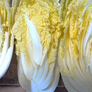もう白菜は包丁でタテに分割しない。白菜を簡単に半分にするワザ「くずが落ちなくていい」「夫にも教える」