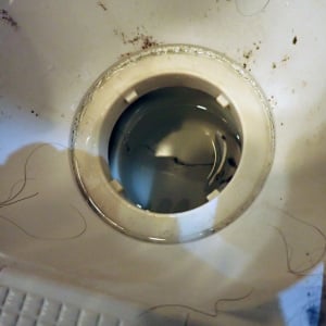 「お風呂の排水口」の“目に見えないヘドロ汚れ”までさっぱりキレイ「徹底掃除術」「臭いもなくなった」