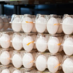 値上がりが気になる「卵」。使用量を抑える“3つの小さな工夫”「マネしたい！」「栄養もキープ」