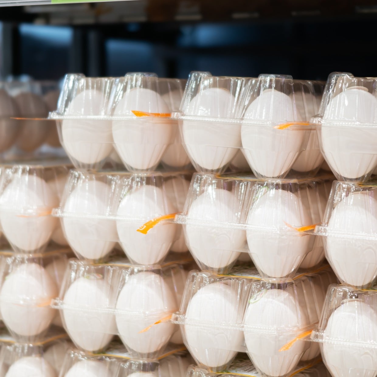  値上がりが気になる「卵」。使用量を抑える“3つの小さな工夫”「マネしたい！」「栄養もキープ」 