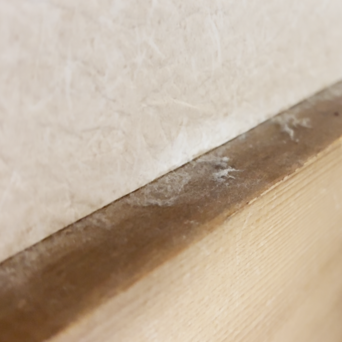  なぜか部屋が汚れて見える“5つの見逃しポイント”「すぐ掃除する」「明るくなった！」 