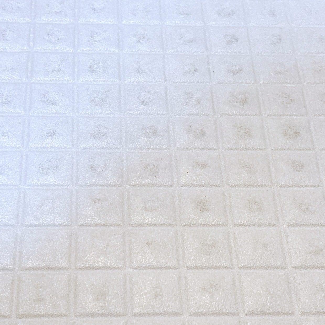  【試したくなる掃除術】あえてこする！「お風呂場の床」の凸凹溝の“黒ずみ汚れ”がピカピカになる 