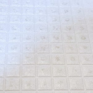 【試したくなる掃除術】あえてこする！「お風呂場の床」の凸凹溝の“黒ずみ汚れ”がピカピカになる