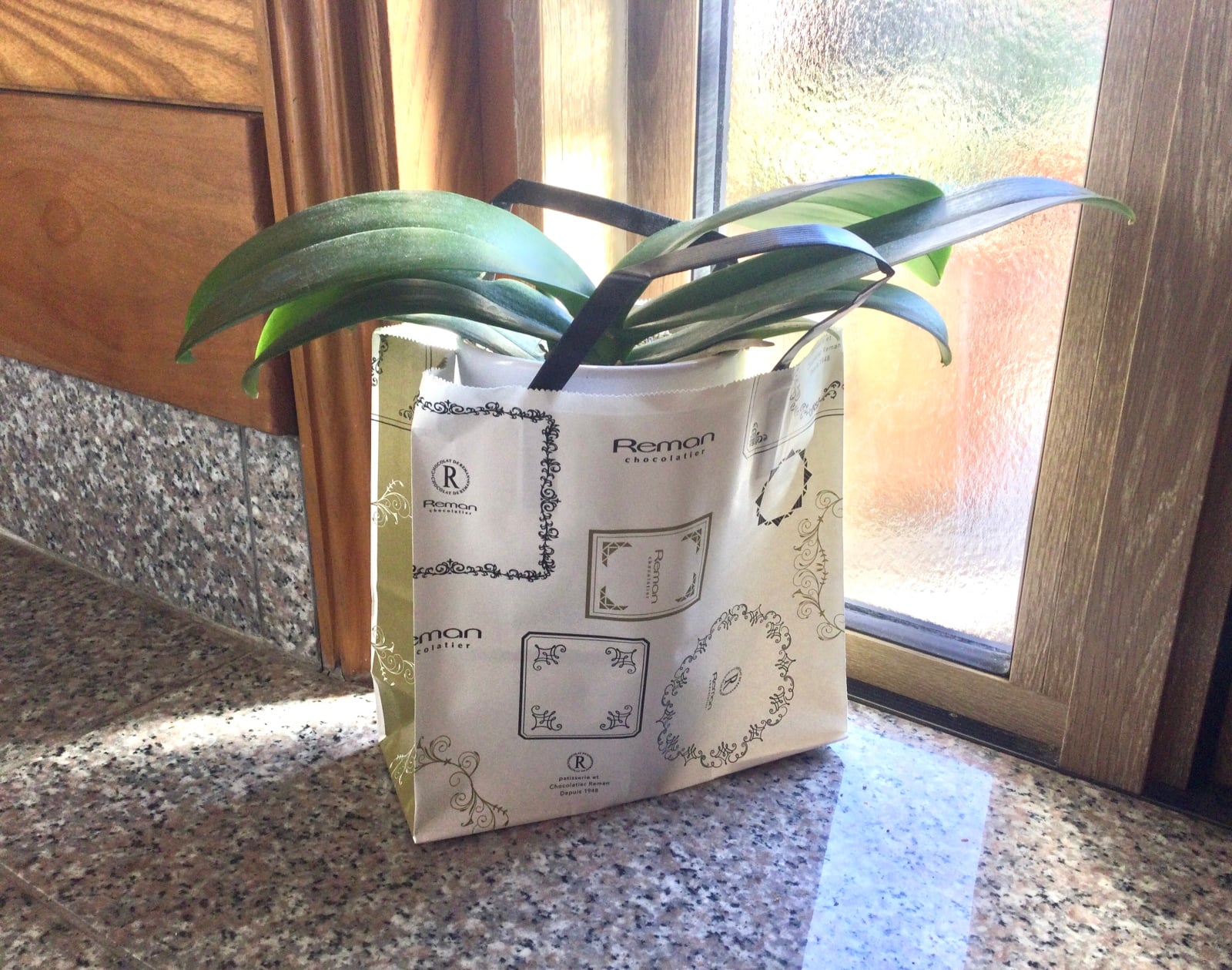 おしゃれな鉢カバーとして活用