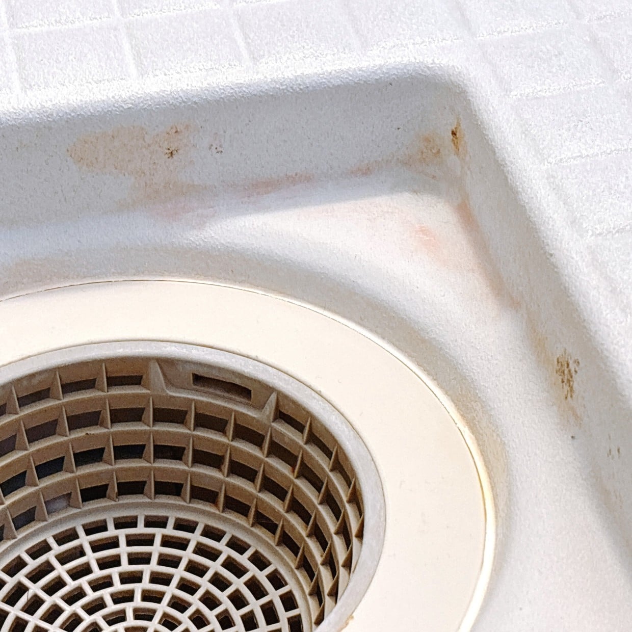  「浴室排水口」の“しつこいピンクのヌメり汚れ”を5分でリセットする簡単掃除術「清潔感アップ！」 