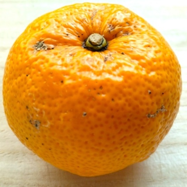  果汁がこぼれにくくなる！「ユズの果汁」を無駄なく使う“切り方テク”「少しの工夫」「次は切り方変える」 