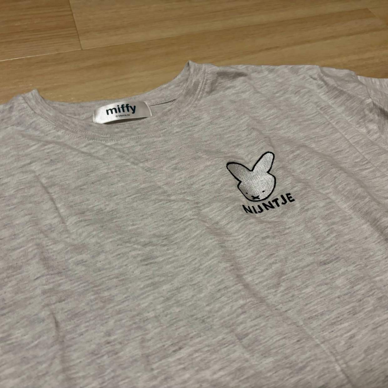  ちょうど衣替えするからやってみる。「Ｔシャツ」を自立させて収納しやすくする【畳み方テク】 