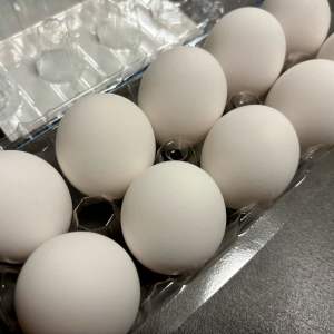 「卵」のただしい“保存の向き”「理由知らなかった」「ドアポケットに入れてた…」