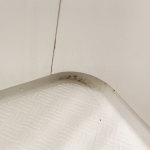 ピンポイントだけは不十分。“お風呂の黒カビ”を残さない徹底掃除術「一気にピカピカ！」