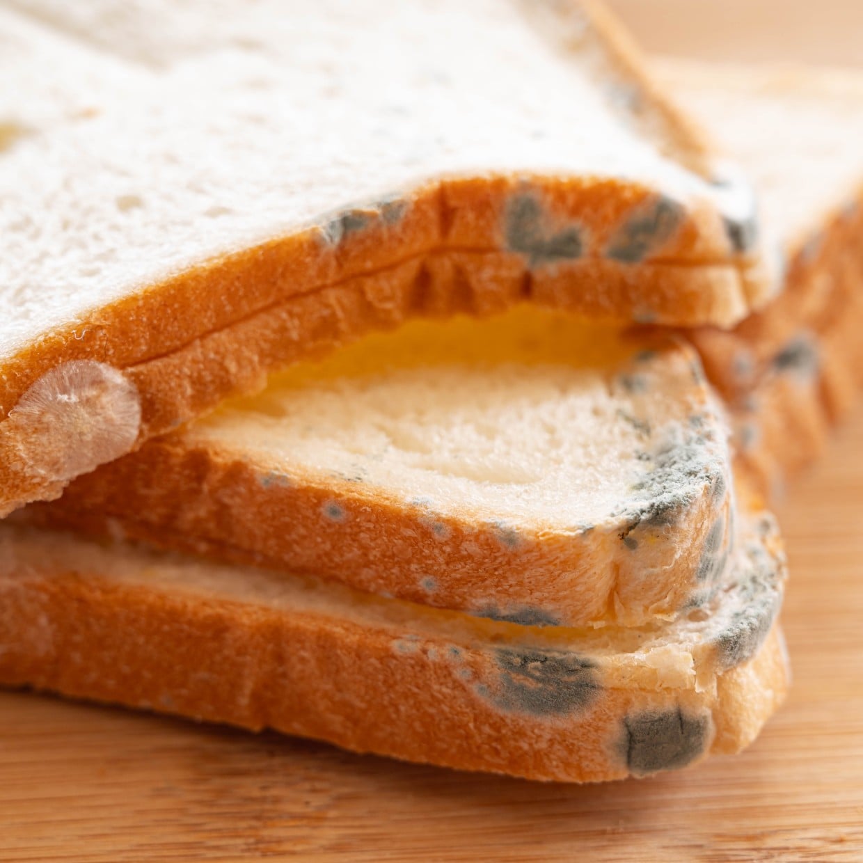  買ってそんな経ってないのに…。「食パン」に“カビが生える”NG保存4つ「ちょい置きしがち」 