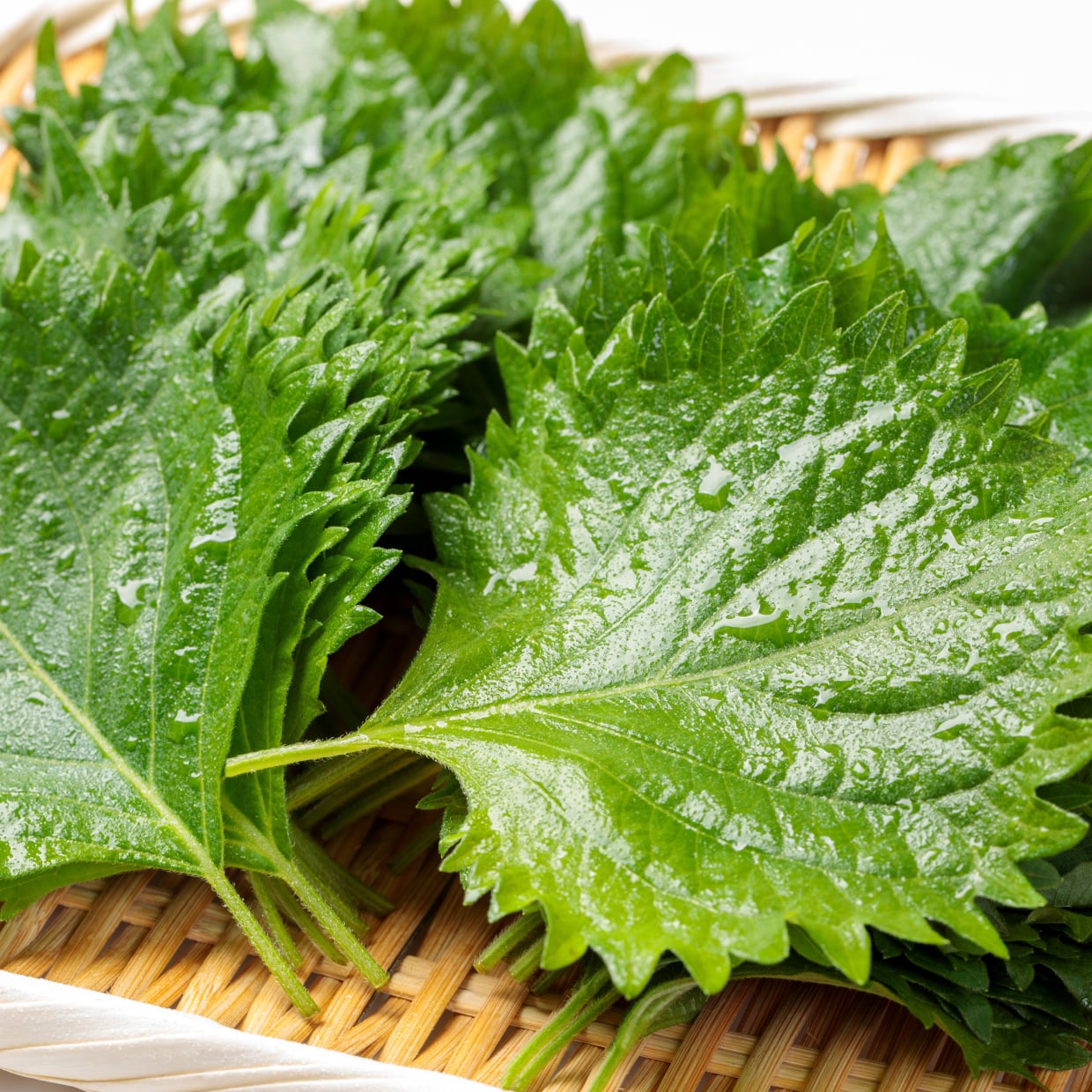  余った「大葉」の“食感が楽しい”意外なアレンジレシピ「新しい！」「パリパリおいしい」 