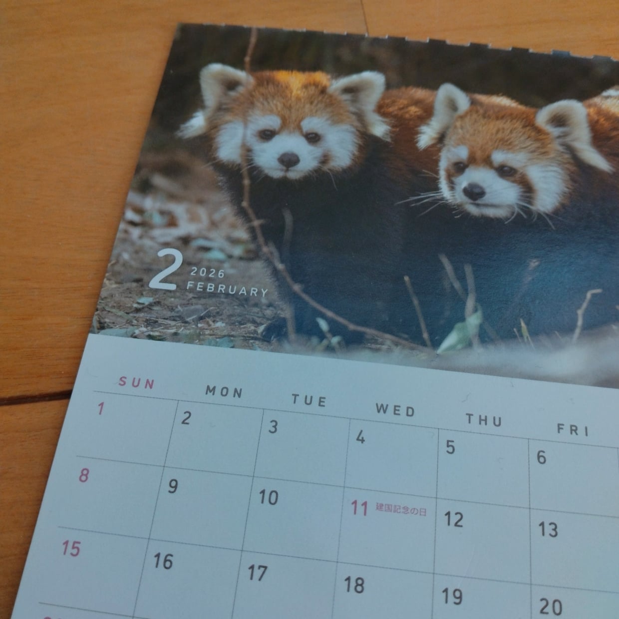  “使い終わったカレンダー”で季節感を楽しめるインテリア術「気分が上がる」「手軽にできる」 