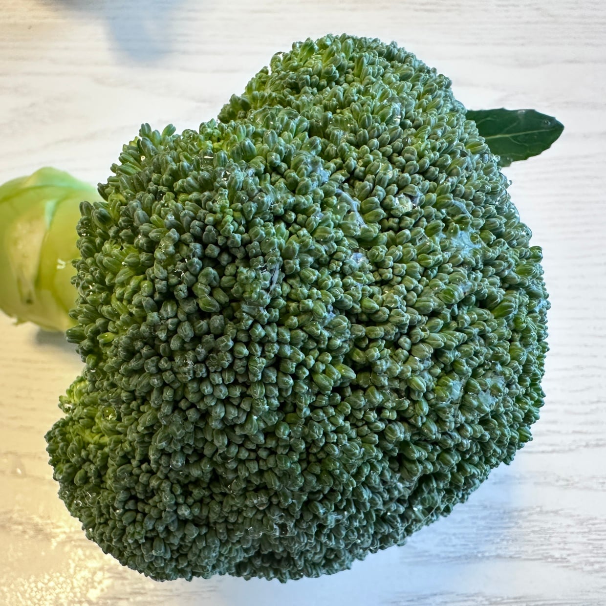  もうザルは使わない！“丸ごとブロッコリー”をきれいに洗うワザ「汚れや虫も浮き出す」 