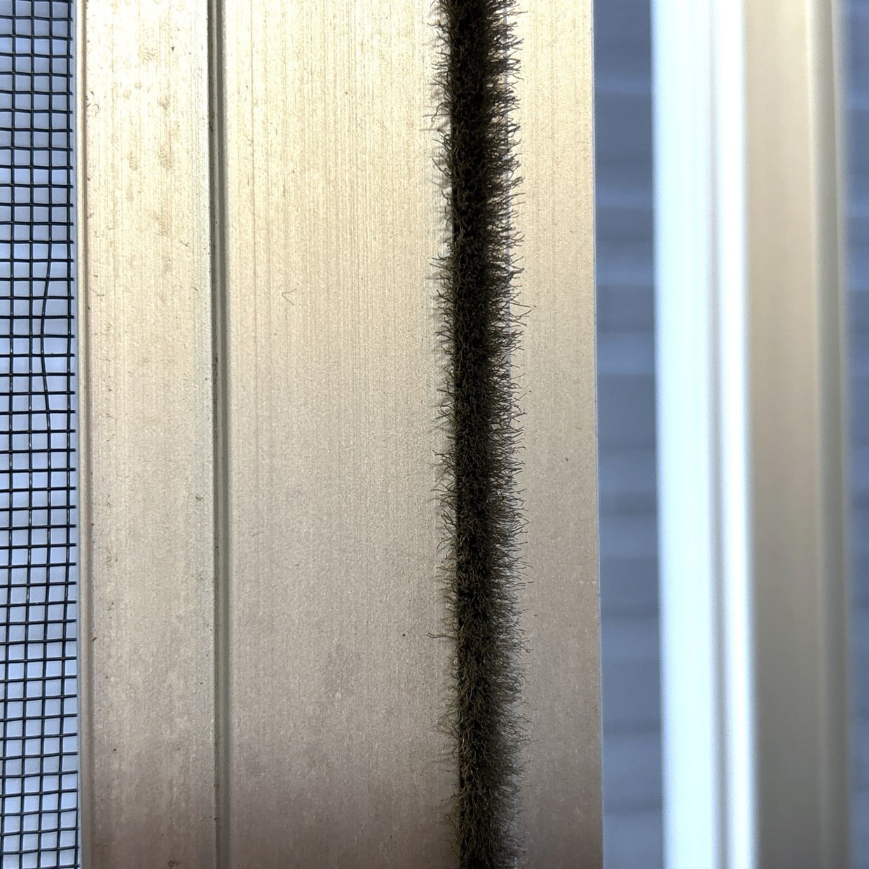  言われると気になる…。網戸の端の“モコモコ毛”の正体「知らなかった」 