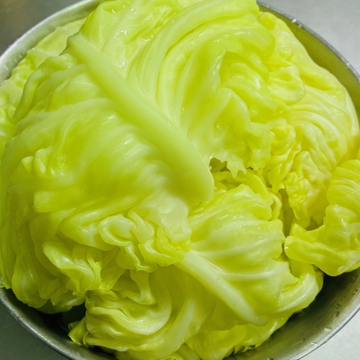 もう失敗しない！「ロールキャベツ」の“キャベツの下ごしらえ”がラクなる簡単ワザ「葉が破れにくい」
