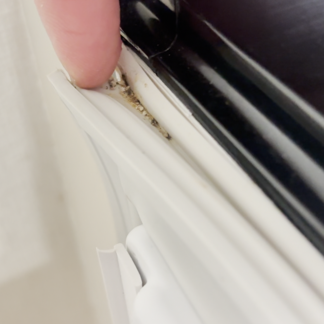  「冷蔵庫パッキン」の“スキマに溜まった汚れ”をゴッソリ取る掃除術「すっきり爽快」 