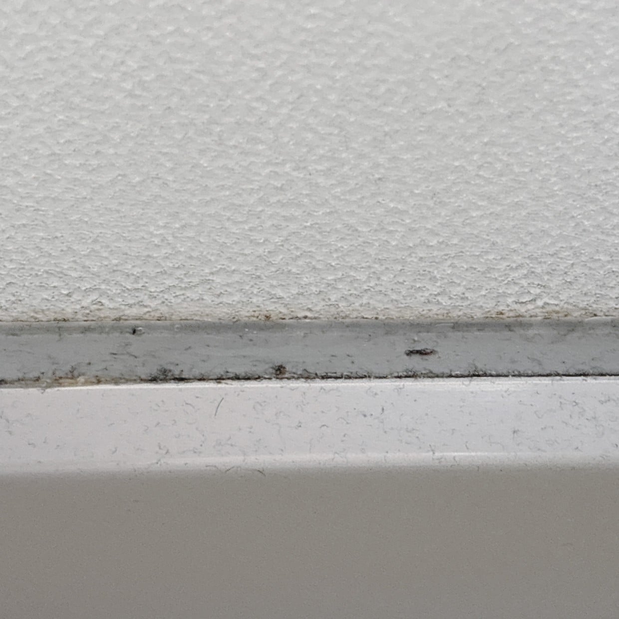  「浴室ドアのゴムパッキン」の“頑固なカビ汚れ”をスルンと落とす掃除術「こすらない」「放置するだけ！」 