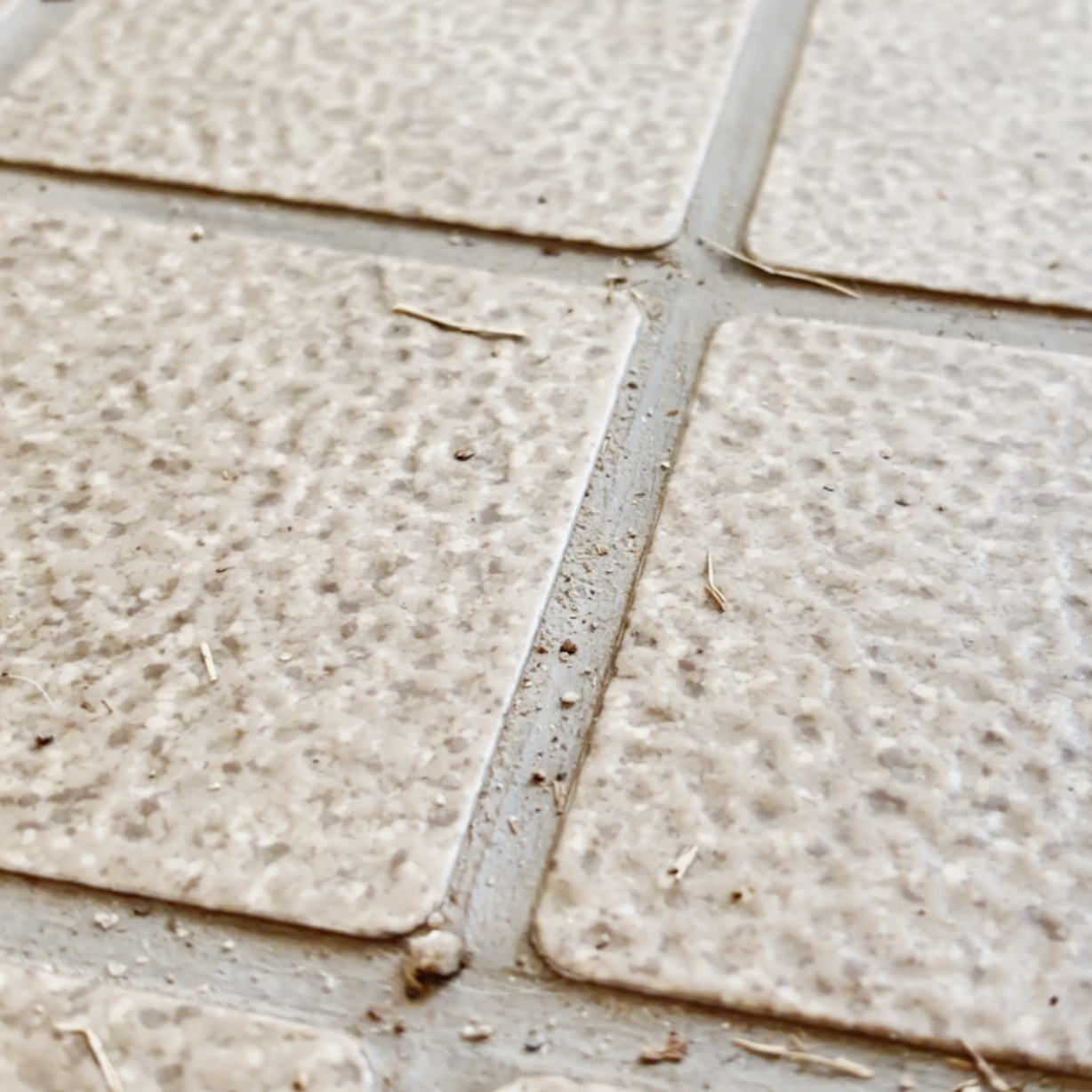 暗い玄関が明るい印象になる！「タイル目地」の黒ずみ掃除術「優しく整える」「気分上がる！」