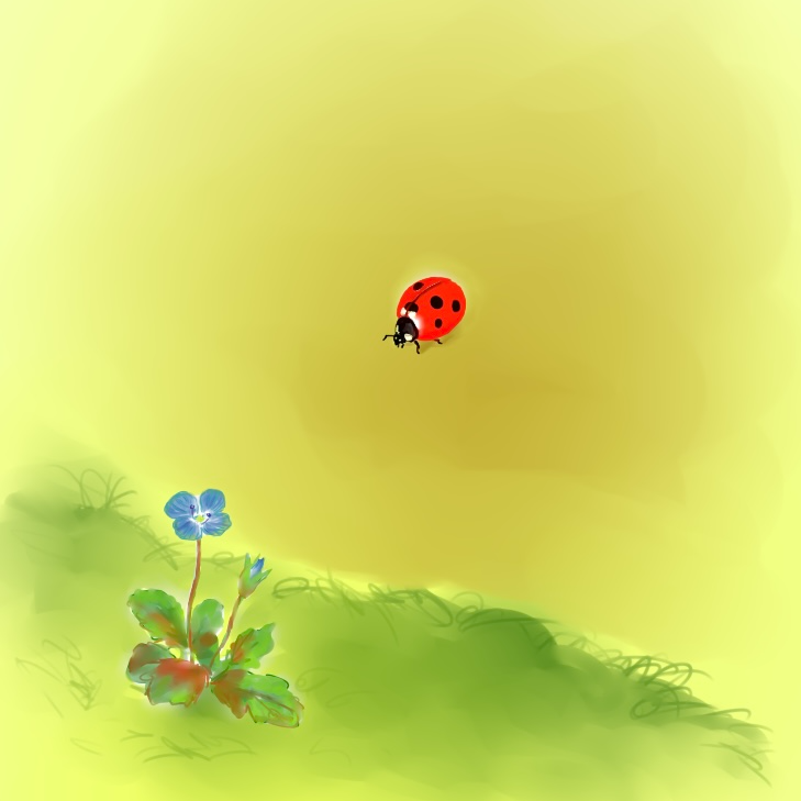  土の上のてんとう虫が草むらに咲く青い花に近づいているところを描いた絵。 