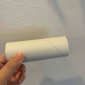 捨てる前の「トイレットペーパーの芯」で“トイレ掃除のハードルが低くなる”【意外な掃除ワザ】