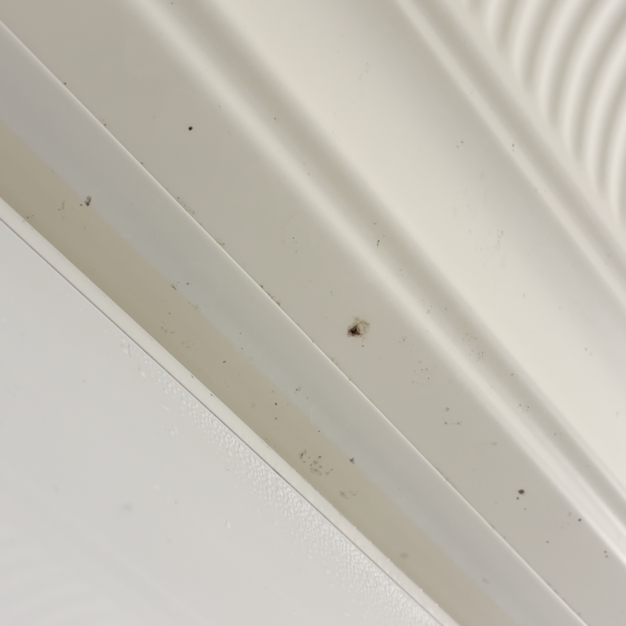  「お風呂の天井」見上げたら黒いポツポツ…。“洗剤を直接噴射しない“リセット術「黒カビ消えて清潔」 