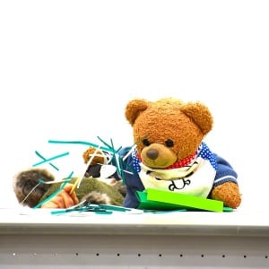 大人気インスタグラマー「くまくん」に会えた！ぬいぐるみ同伴のお話し会が幸せすぎた【イベントレポ】