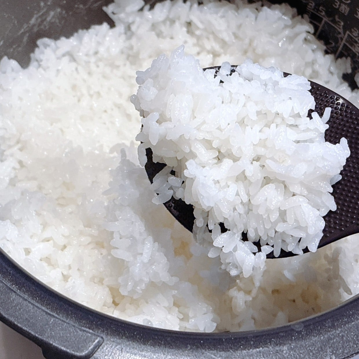  「3～4個入れるだけ」いつものお米が“ふっくら甘く炊き上がる”裏ワザ「メリットいっぱい」 