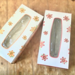 絶妙なサイズだわ。「ティッシュの空き箱」をリビングや玄関に置きたくなる【意外な使い道】