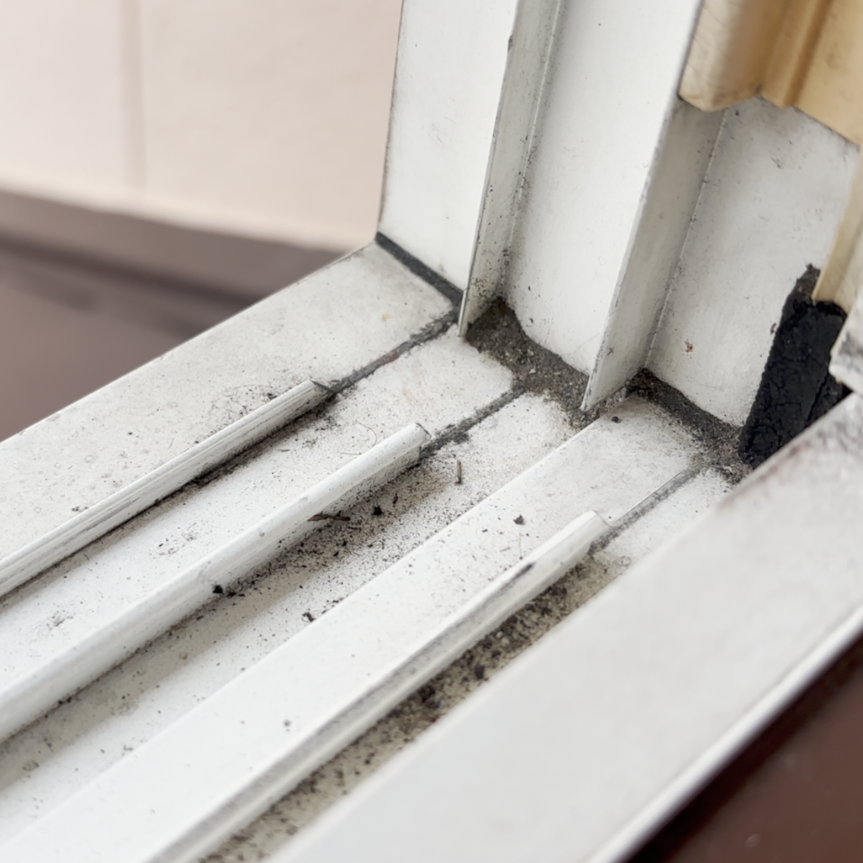  窓の「サッシ」にたまった“砂ぼこり”をスッキリ落とす春の掃除術「黄砂や花粉ごっそり」 