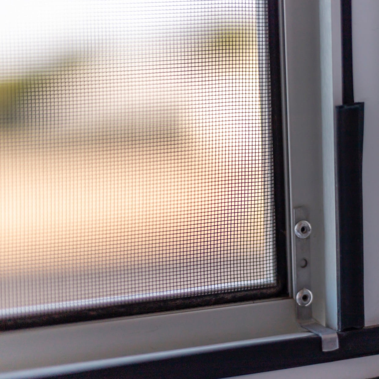  神アイテム過ぎでしょ。洗剤も水洗いも不要で「網戸」に溜まった汚れを“ごっそり落とす“【春の掃除テク】 