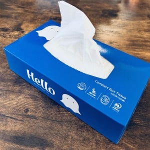 サイズぴったりじゃん！「ティッシュの空き箱」が“春に便利”なものに生まれ変わる【意外な使い道】