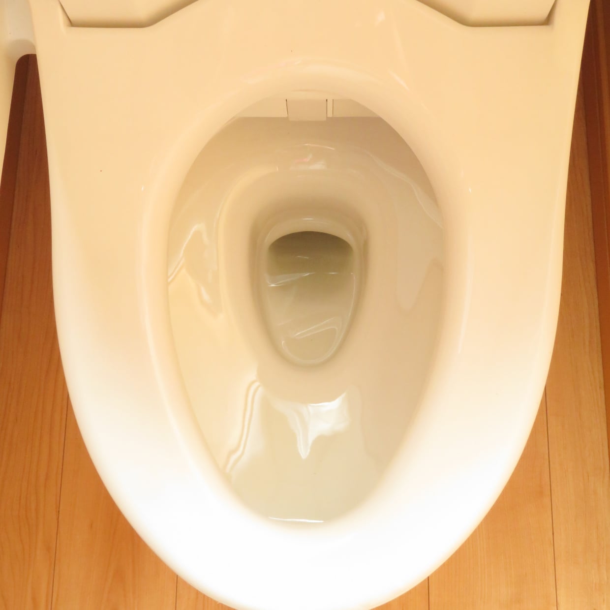  多くの人がやっている。掃除のプロが教える「トイレ掃除」の“4つの間違い” 