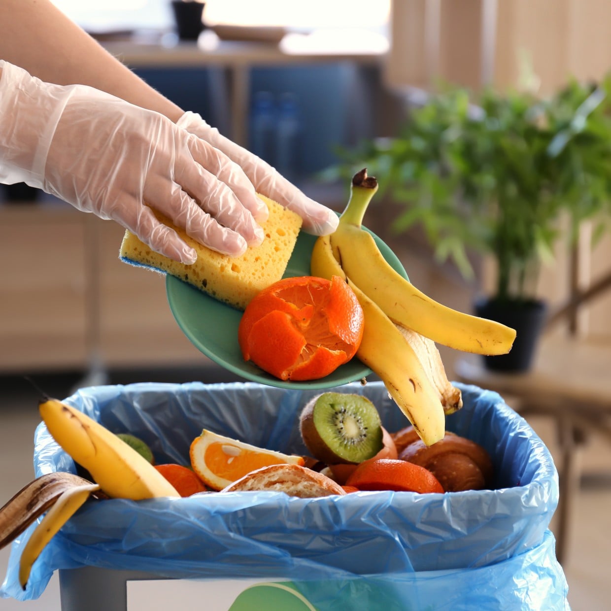  快適な春を過ごせそう。意外な調味料で「生ゴミの臭い」を防ぐ“裏ワザ「すごい！」「知らなかった」 