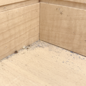 掃除機じゃ無理…を解消！“隅のホコリ”を一掃する100均アイテム「気持ちいい！」「隅々まで整う」