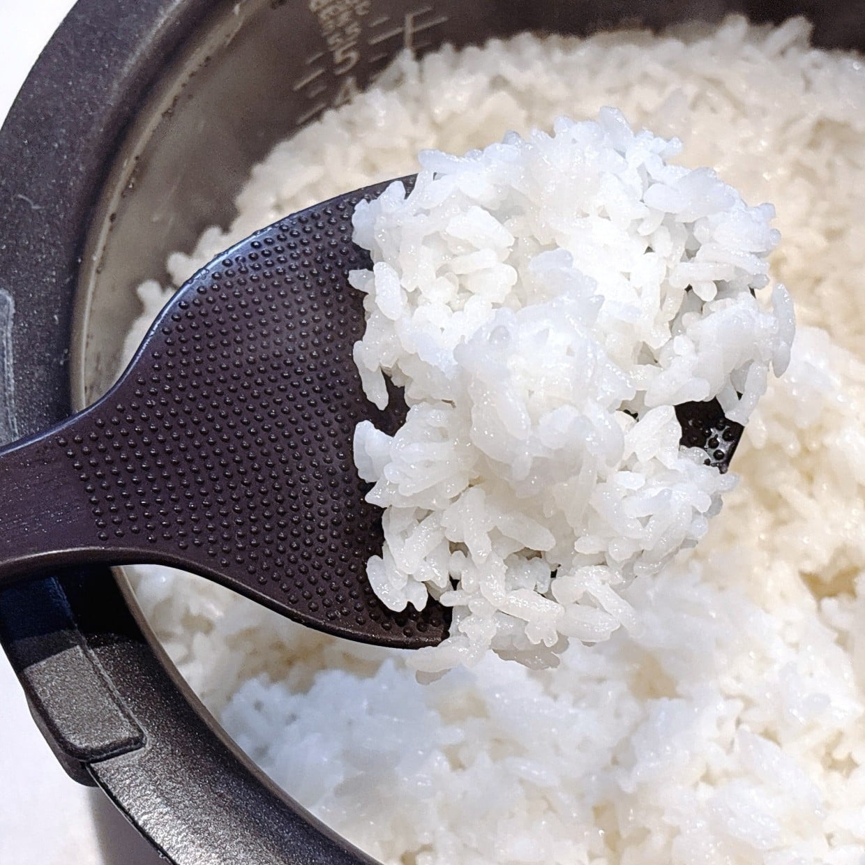  水は使わない！いつもの「ごはん」が1粒1粒ふっくら炊き上がる“意外過ぎるもの”「もっちり甘みも」 