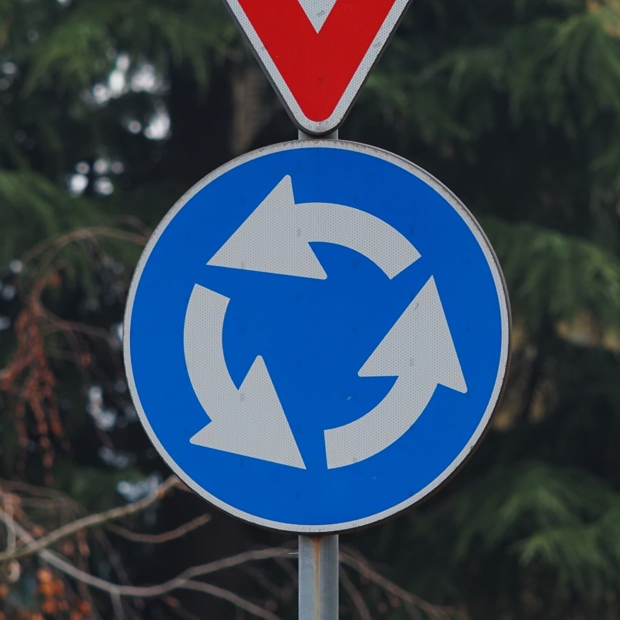  見分けられる？色以外そっくりで間違えやすい“道路標識”2つの違い 