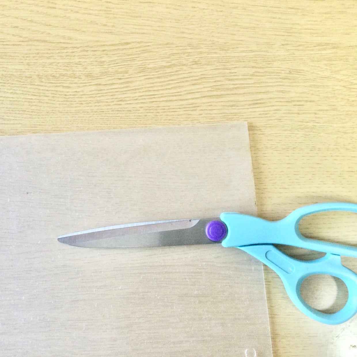  ハサミで切って挟むだけ。「余ったクリアファイル」が災害時対策に役立つ“意外な活用術”「知らなかった」 