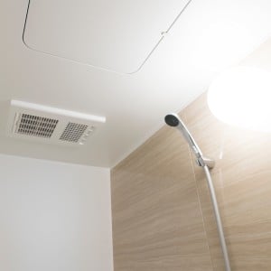 背伸びしなくても届く。「お風呂天井」のカビを取り除く“簡単掃除テク”「影響を広げないために」