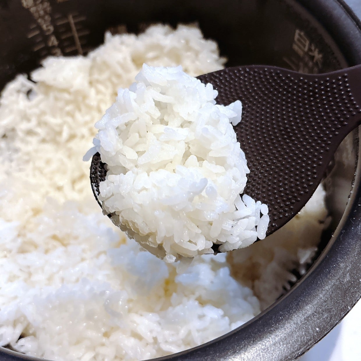  毎朝のおにぎり作りがラクになる。小さじ1入れるだけの“ごはんの炊き方” 