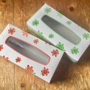 幅ぴったりで無駄なし！使い終わった「ティッシュの空き箱」に思わず入れたくなる日用品「並べてみた」