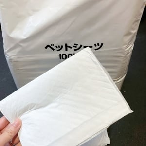 残しておいた人、雨の日に使えます！「ペットシーツ」を意外な場所に置くだけで“悩みが減る2つの使い方”
