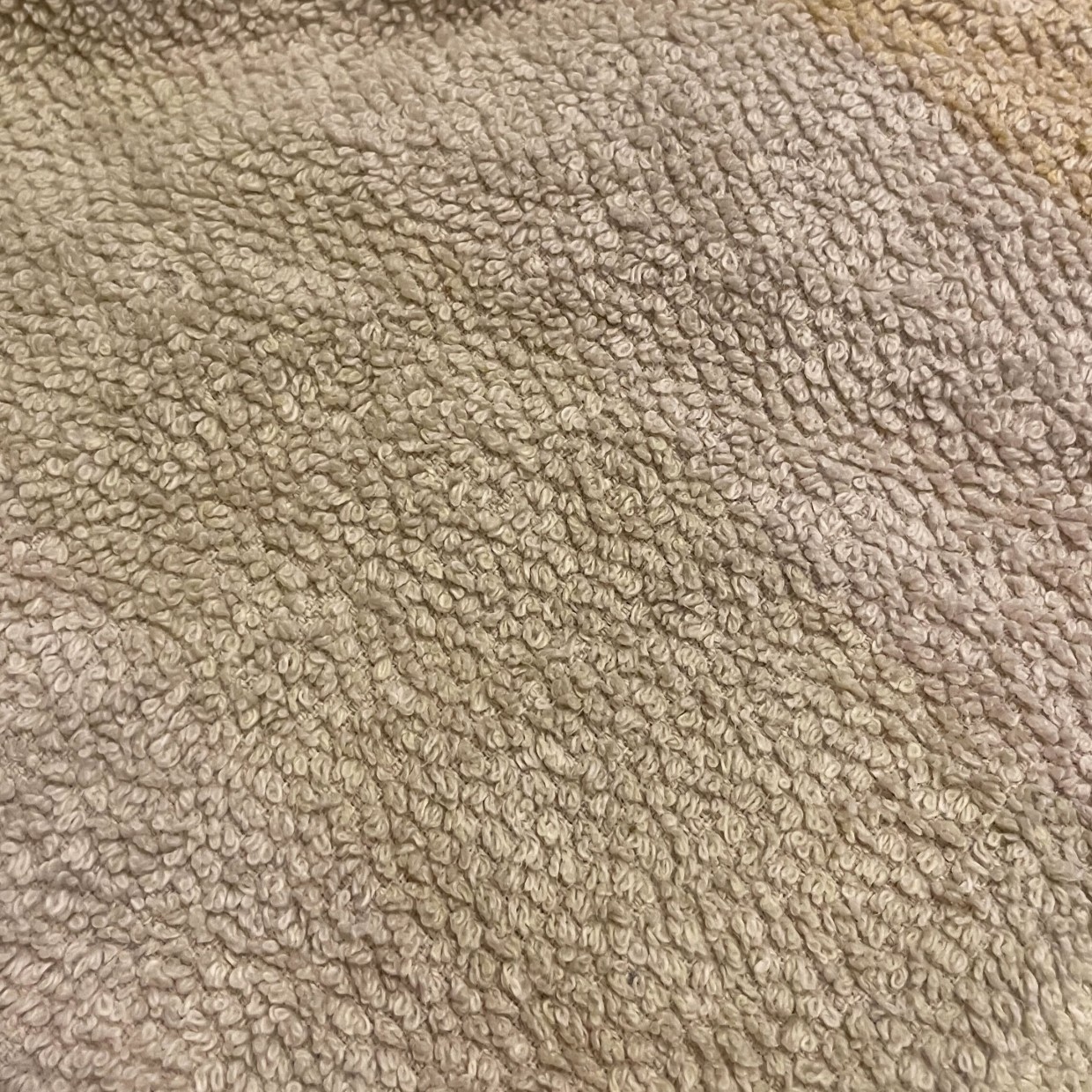  なぜかタオルがゴワゴワ…。ふつうに洗った“タオルがゴワつく原因”「夫にも教える」 