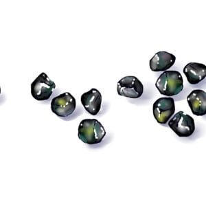 連載小説『漂うわたし』　第221回　多賀麻希（73）「わたしの美しいカケラ」