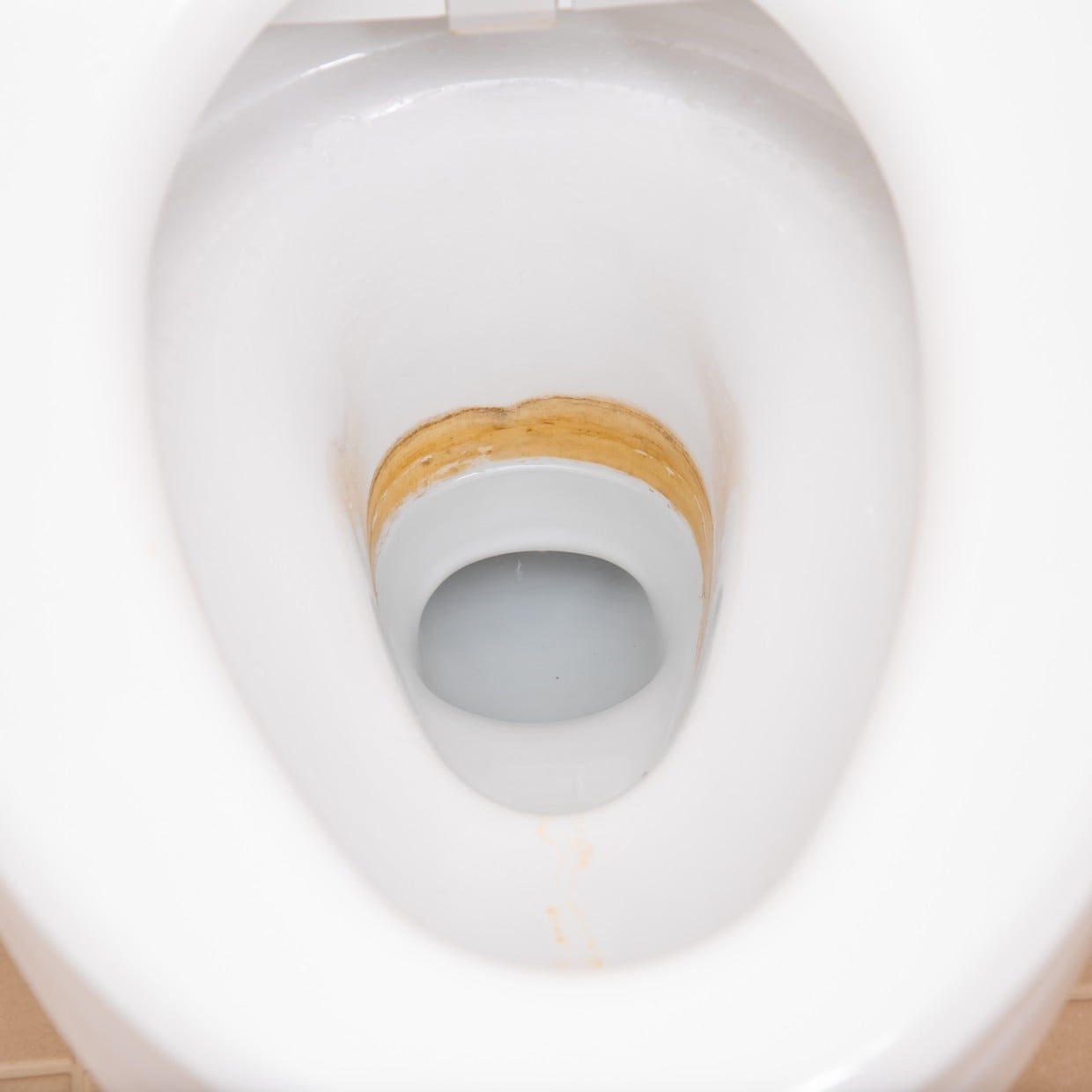  ゴシゴシ不要！“トイレの黄ばみ”をスルッと落とすトイレ掃除の相棒「ラク過ぎて手放せない」 