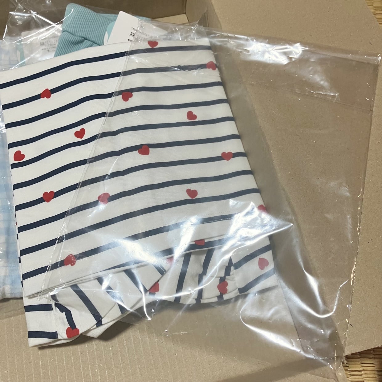  次からすぐ捨てないよ。通販でついてくる「透明なビニール袋」の日常で使える“活用法2選” 